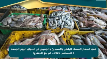 قفزة أسعار السمك البلطي والسردين والجمبري في أسواق اليوم الجمعة 8 أغسطس 2025… كم بلغ الارتفاع؟